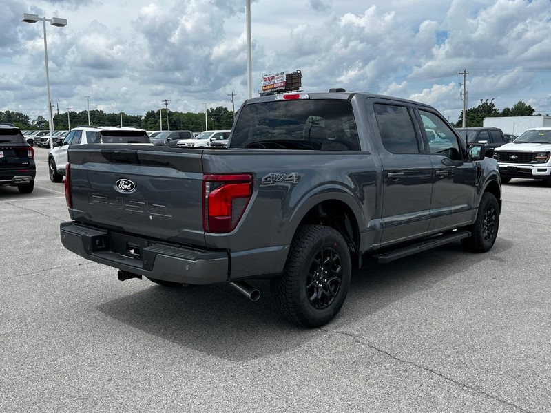 Ford F-150 Vehicle Image 03