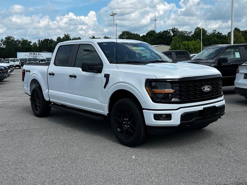 Ford F-150 Vehicle Image 02