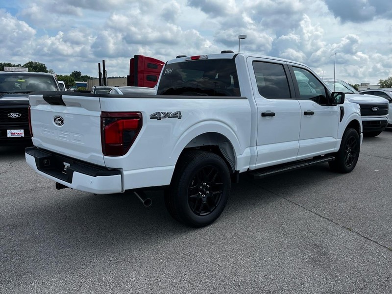 Ford F-150 Vehicle Image 03
