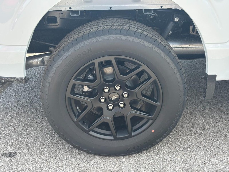 Ford F-150 Vehicle Image 04