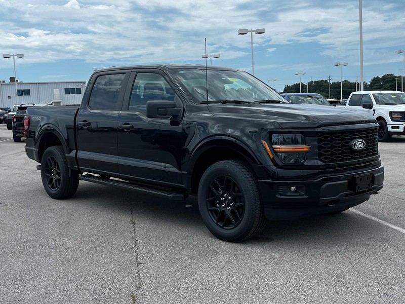 Ford F-150 Vehicle Image 02