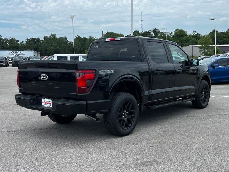 Ford F-150 Vehicle Image 03