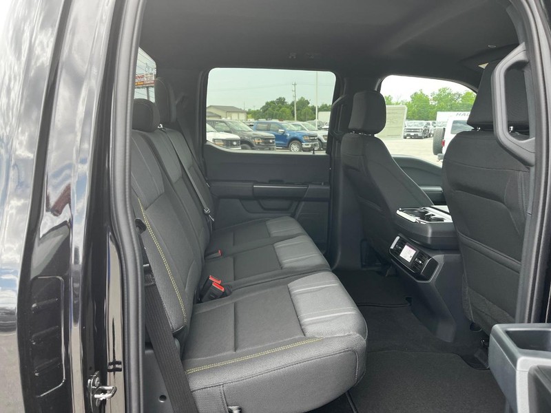 Ford F-150 Vehicle Image 04