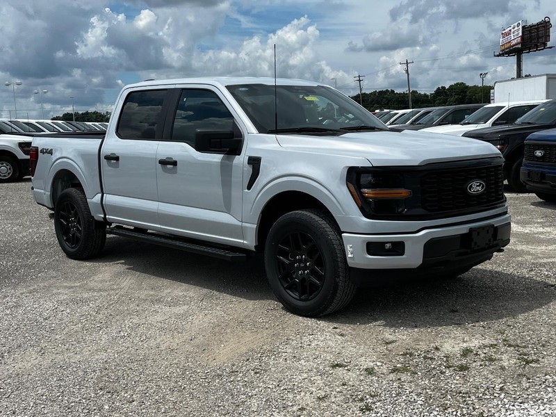 Ford F-150 Vehicle Image 02