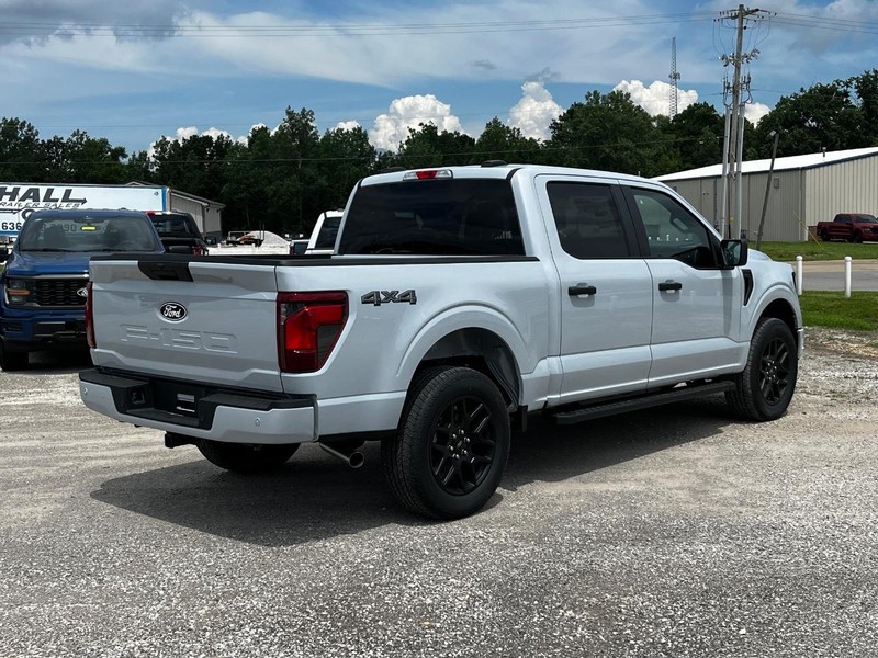 Ford F-150 Vehicle Image 03