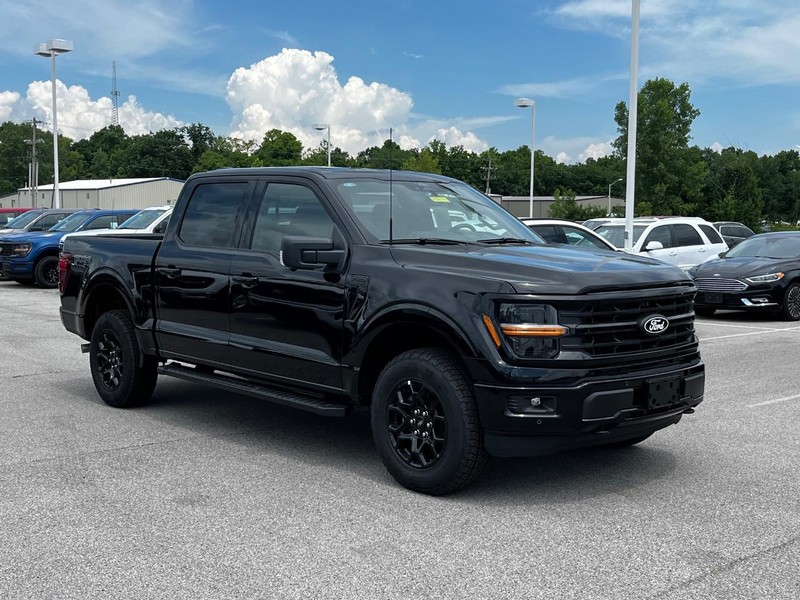 Ford F-150 Vehicle Image 02