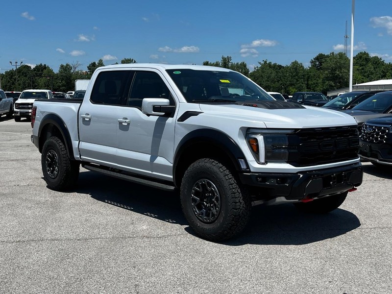 Ford F-150 Vehicle Image 02