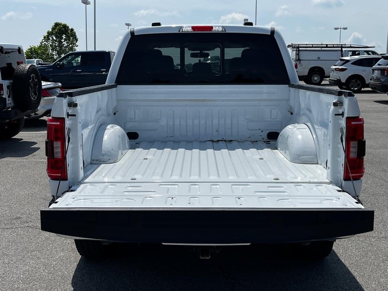 Ford F-150 Vehicle Image 05