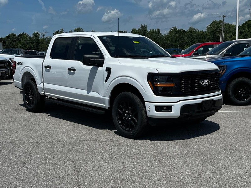 Ford F-150 Vehicle Image 02