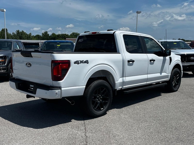 Ford F-150 Vehicle Image 03