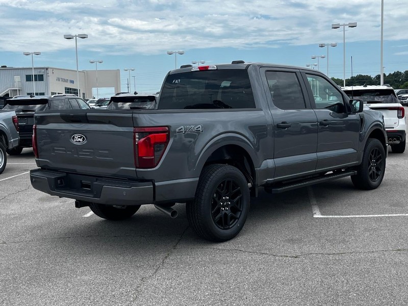 Ford F-150 Vehicle Image 03