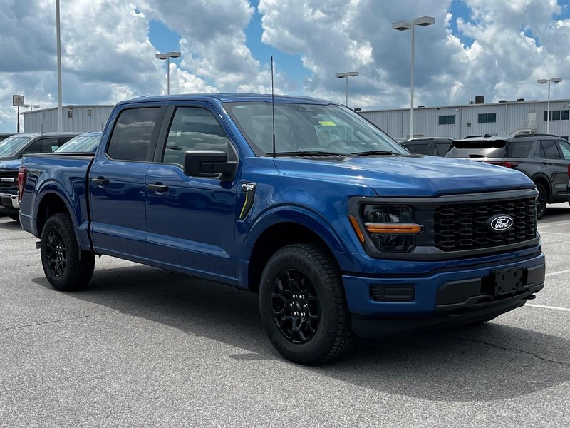 Ford F-150 Vehicle Image 02