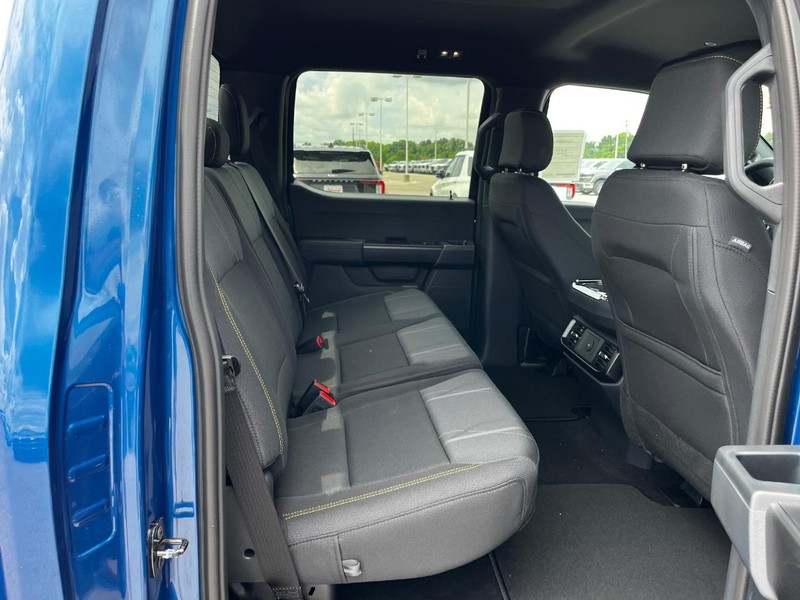 Ford F-150 Vehicle Image 04