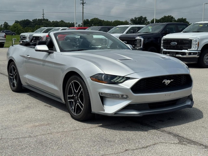 Ford Mustang Vehicle Image 02