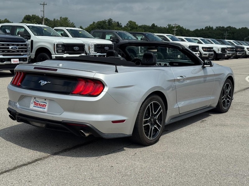 Ford Mustang Vehicle Image 03