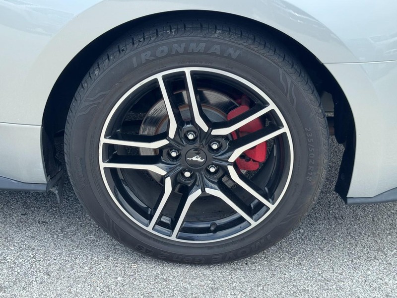 Ford Mustang Vehicle Image 06