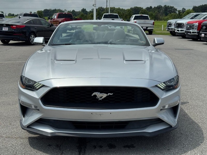 Ford Mustang Vehicle Image 08