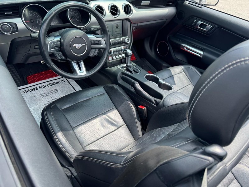Ford Mustang Vehicle Image 11