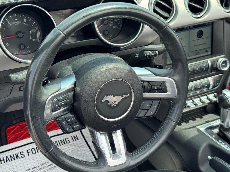 Ford Mustang Vehicle Image 14