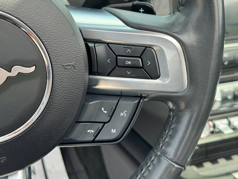 Ford Mustang Vehicle Image 18