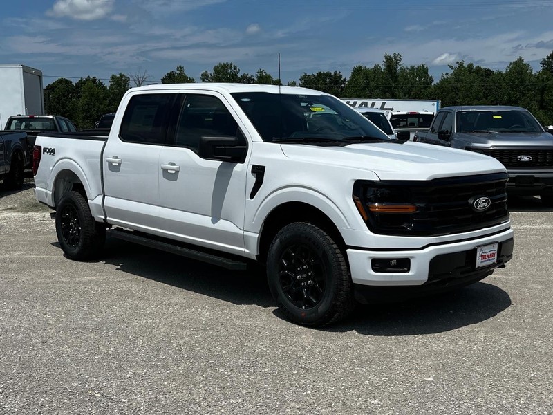Ford F-150 Vehicle Image 02