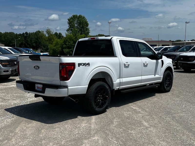 Ford F-150 Vehicle Image 03