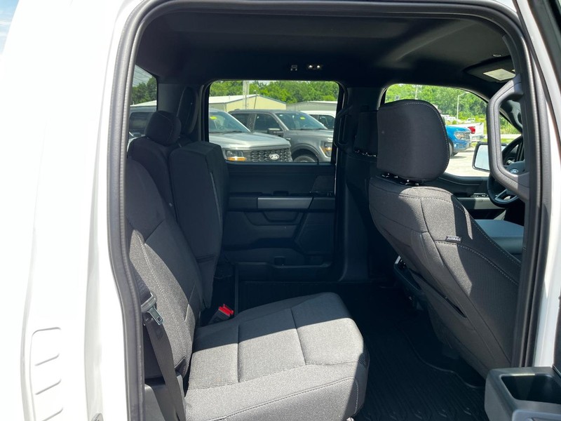 Ford F-150 Vehicle Image 04