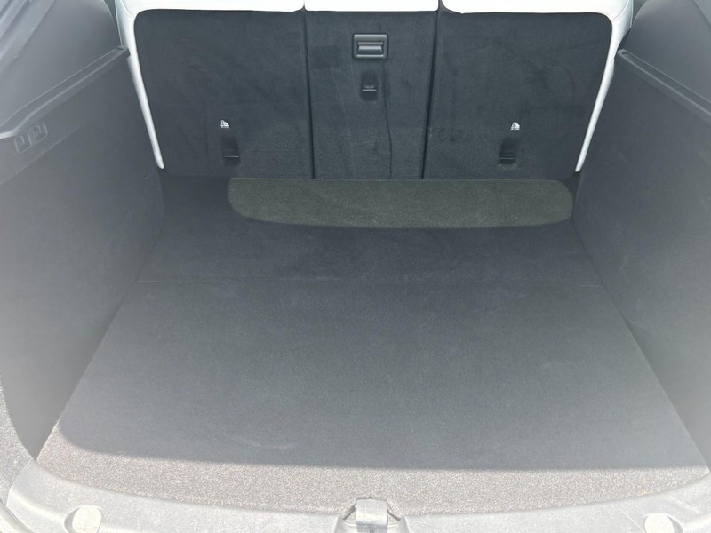 Tesla Model Y Vehicle Image 04
