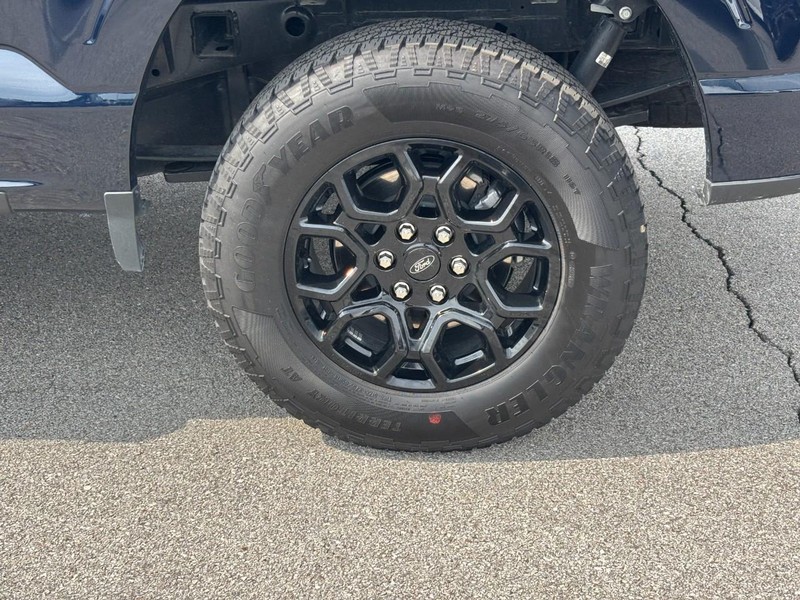 Ford F-150 Vehicle Image 07