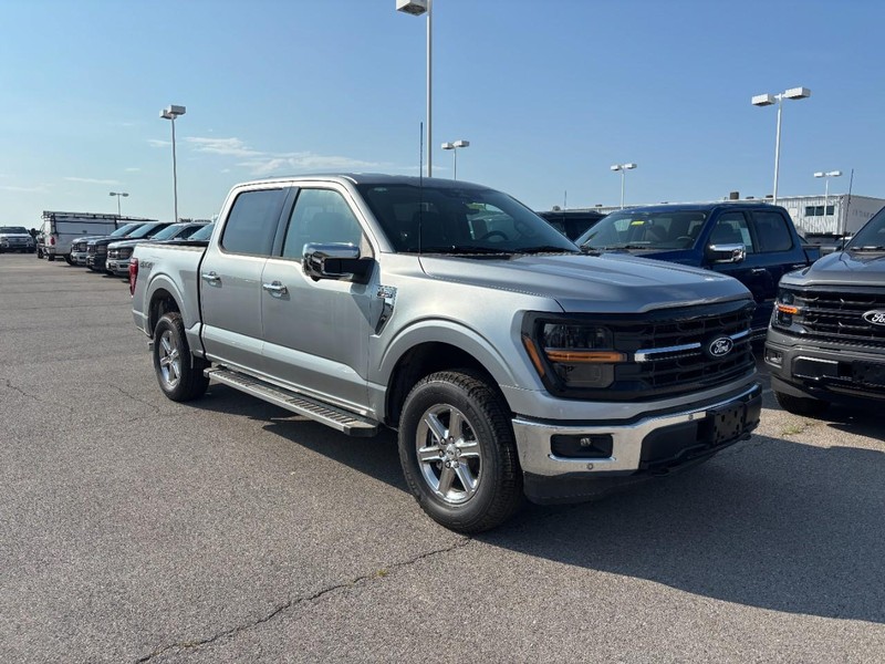 Ford F-150 Vehicle Image 02