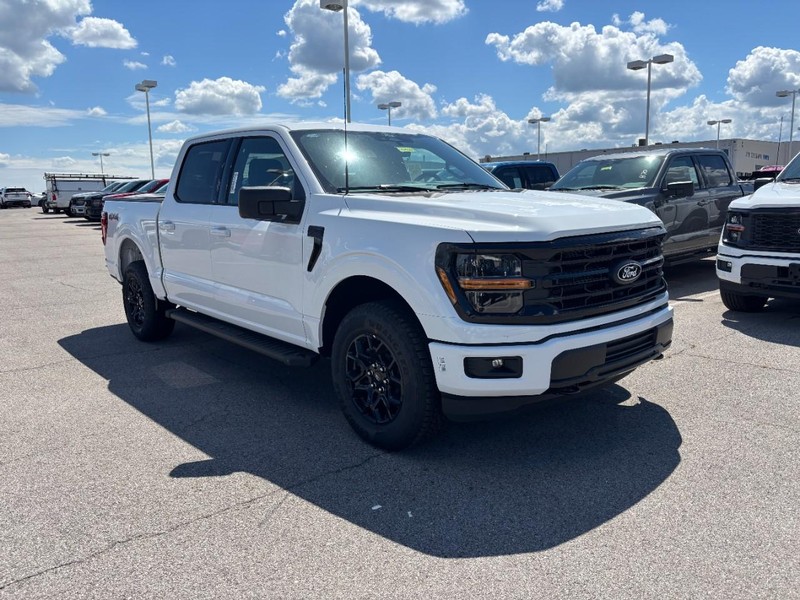 Ford F-150 Vehicle Image 02