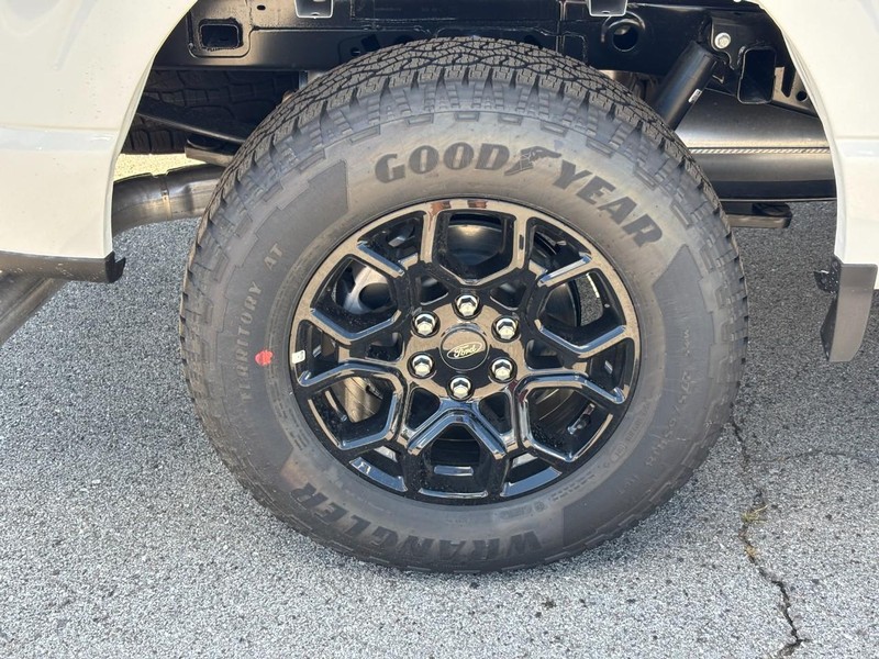 Ford F-150 Vehicle Image 04