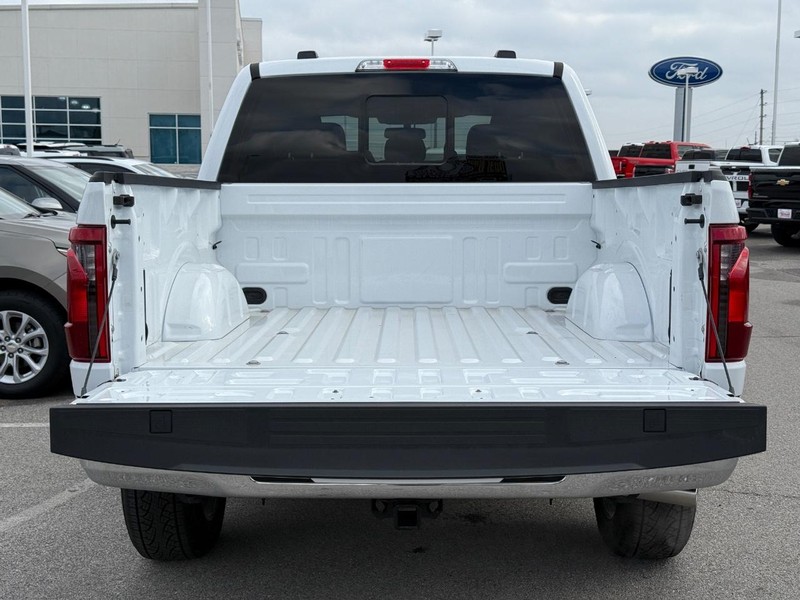 Ford F-150 Vehicle Image 06