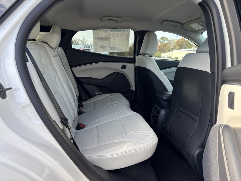 Ford Mustang Mach-E Vehicle Full-screen Gallery Image 5