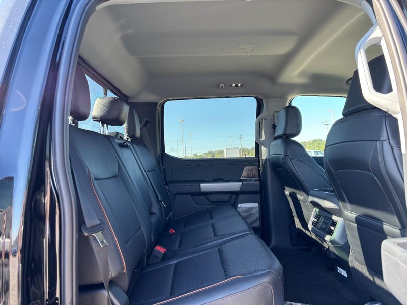 Ford Super Duty F-250 SRW Vehicle Image 05