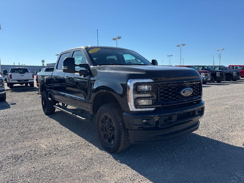 Ford Super Duty F-350 SRW Vehicle Image 02
