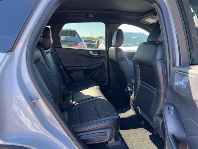 Ford Escape Vehicle Image 05