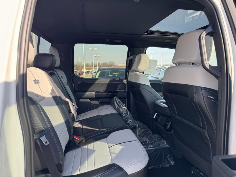 Ford F-150 Lightning Vehicle Image 06