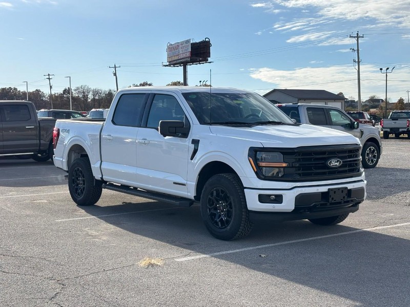 Ford F-150 Vehicle Image 02