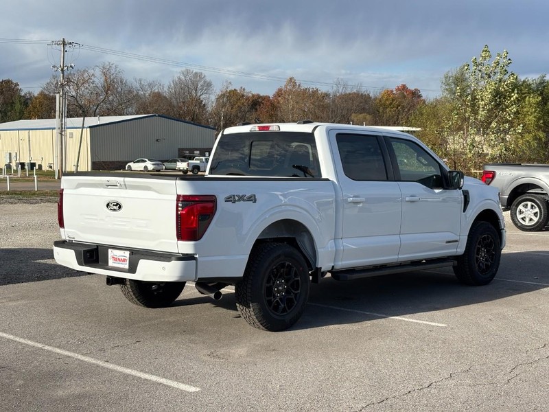 Ford F-150 Vehicle Image 03
