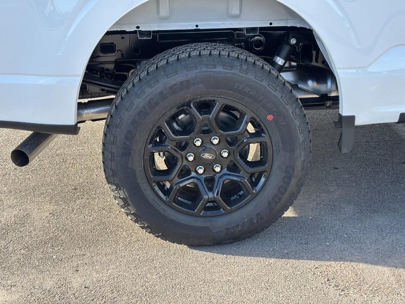 Ford F-150 Vehicle Image 04