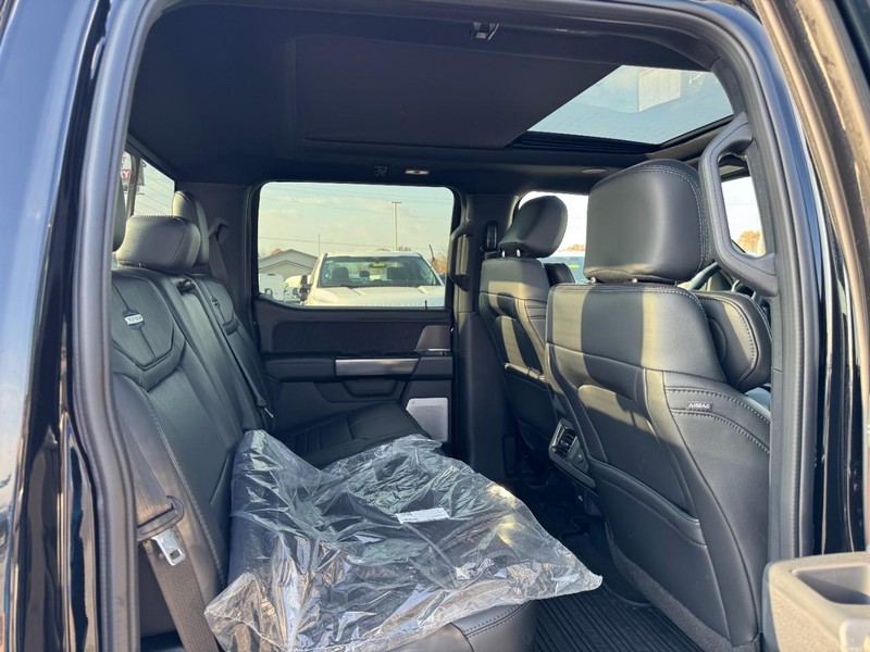 Ford Super Duty F-250 SRW Vehicle Image 06