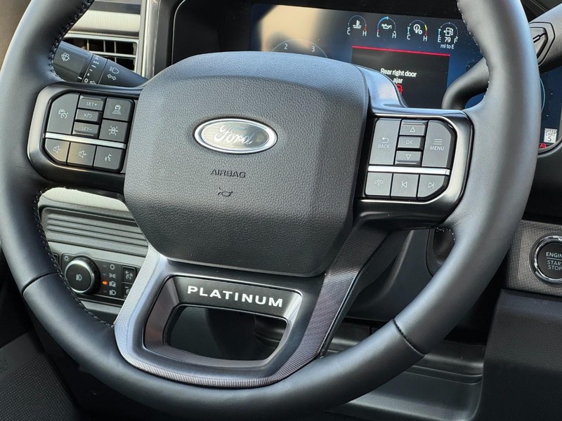 Ford Super Duty F-250 SRW Vehicle Image 08