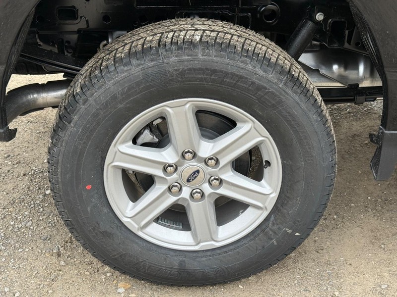 Ford F-150 Vehicle Full-screen Gallery Image 4