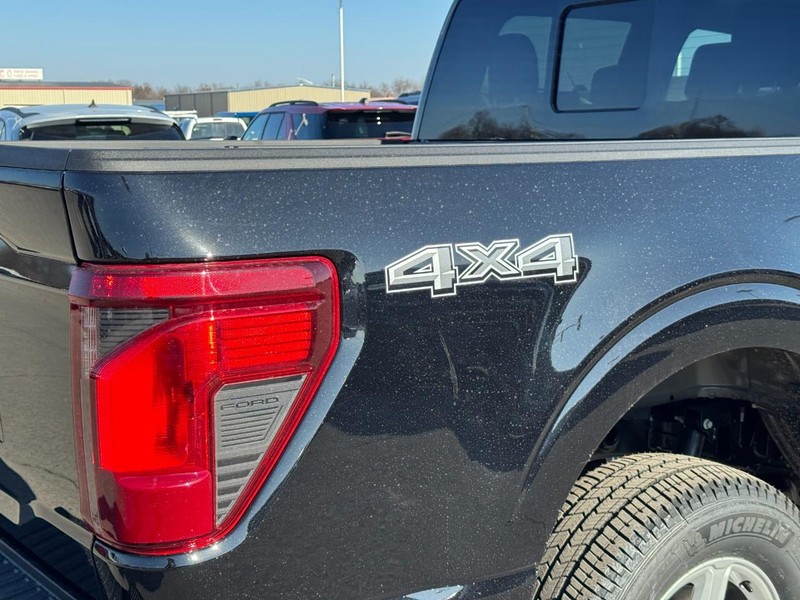 Ford F-150 Vehicle Image 04