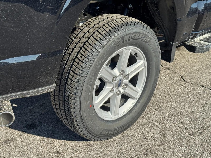 Ford F-150 Vehicle Image 05