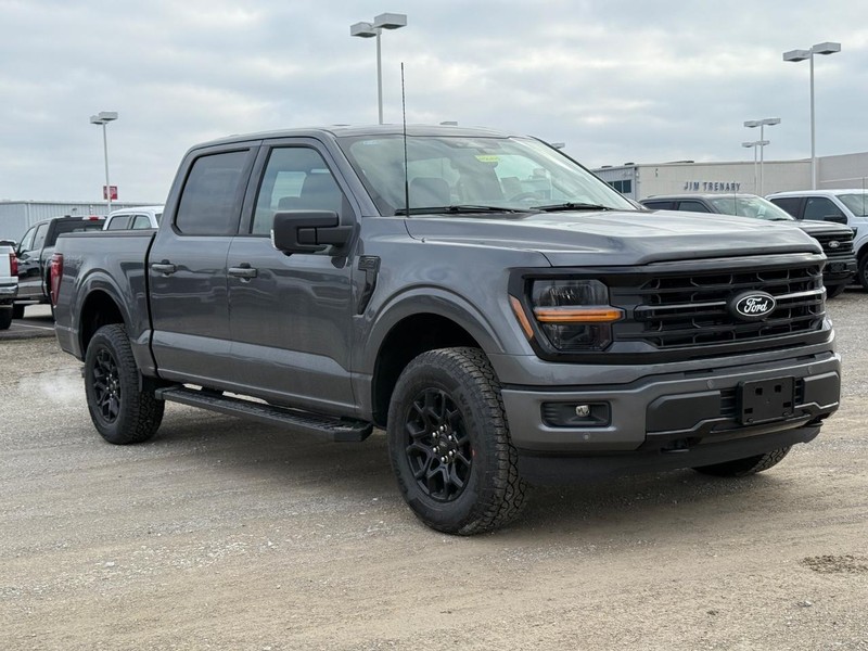 Ford F-150 Vehicle Image 02