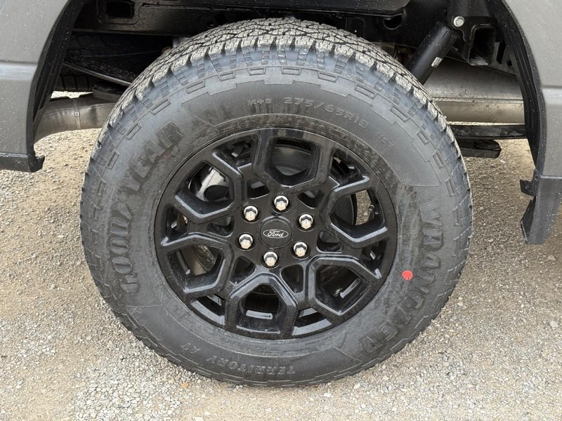 Ford F-150 Vehicle Image 04