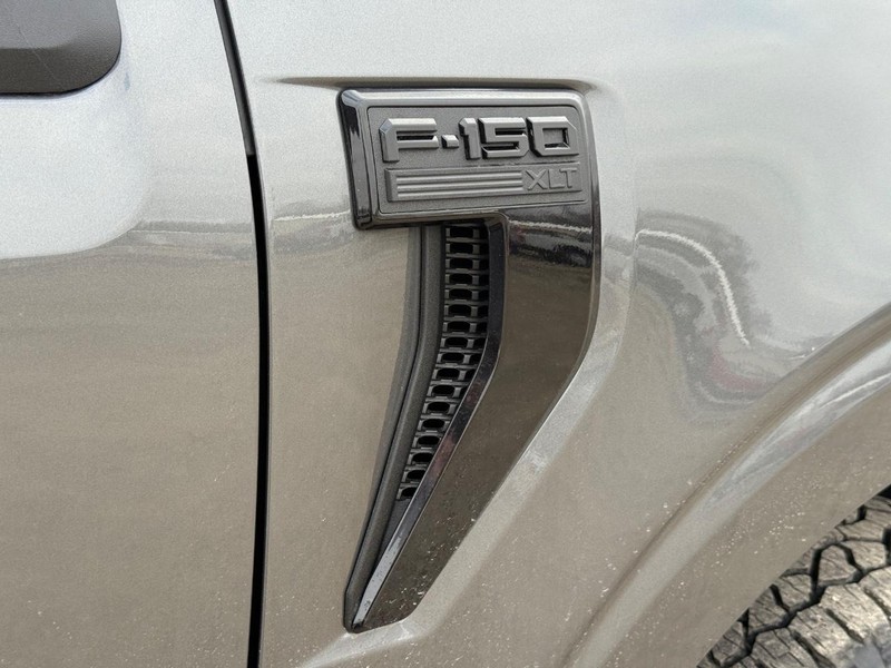 Ford F-150 Vehicle Image 05