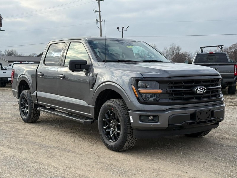 Ford F-150 Vehicle Image 02